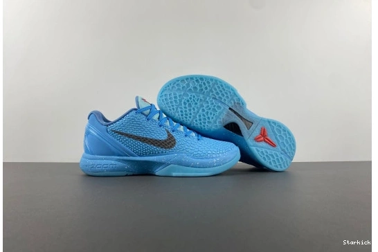 Zoom PE2023-100 Nike Kobe 6  FTB 0826